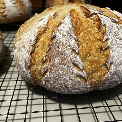 Plain Sourdough 