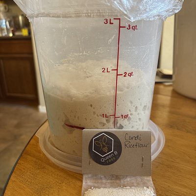 Condi Riceflour -Dehydrated GF Sourdough Starter 