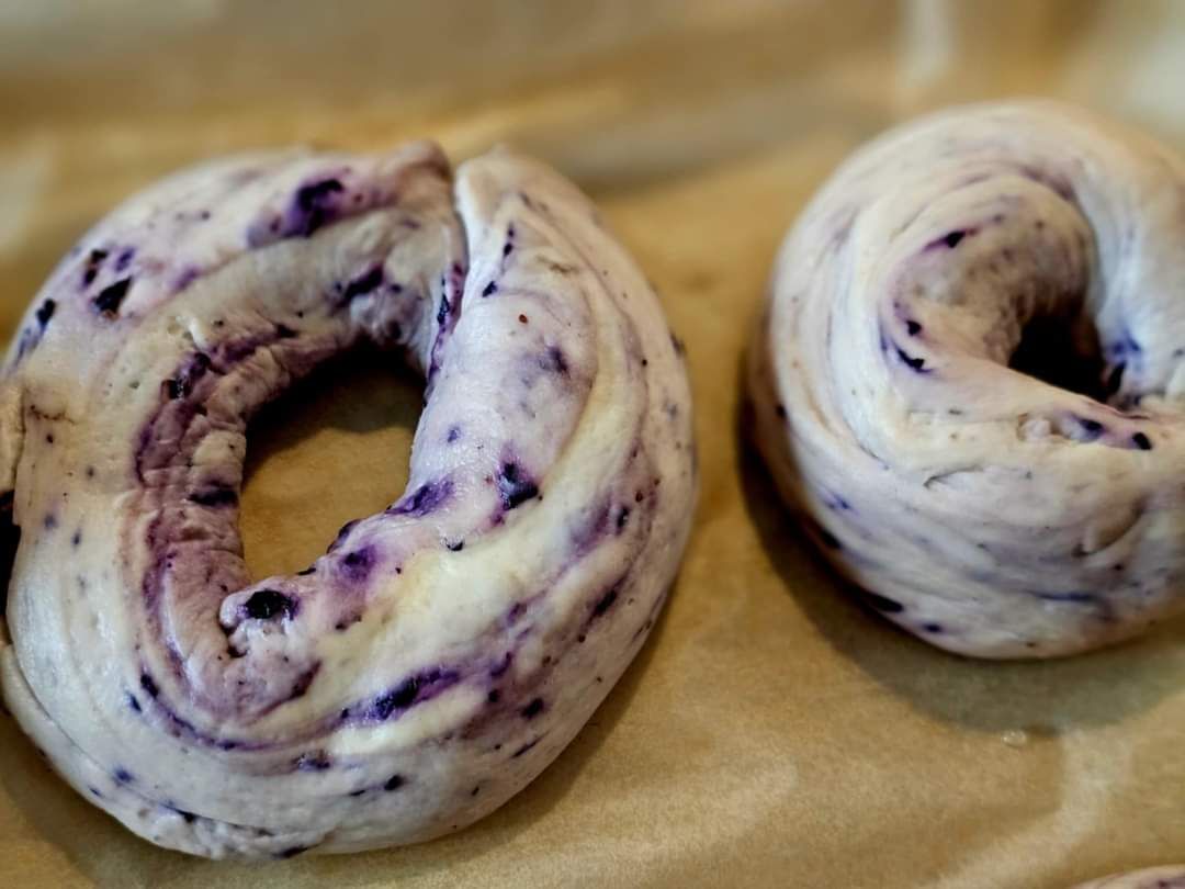 Blueberry Bagels