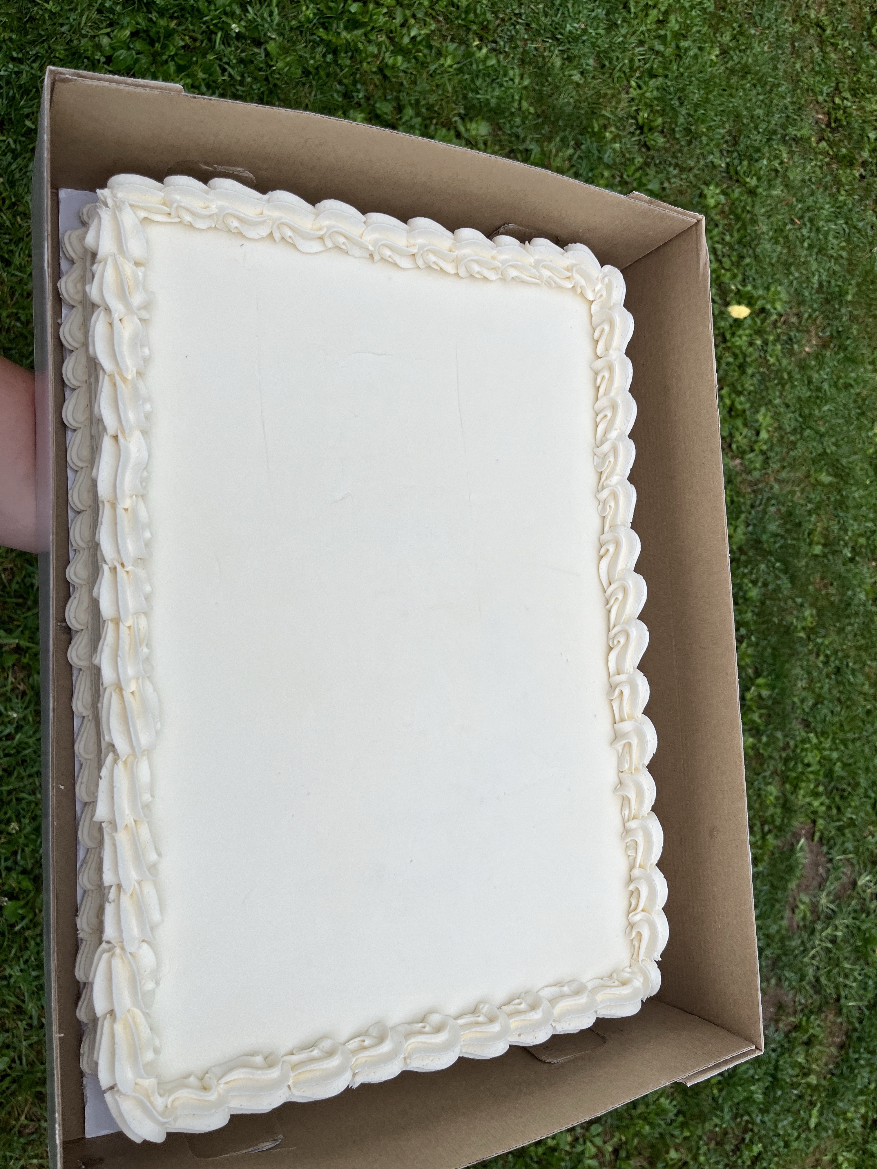 1/2 Sheet Cake 