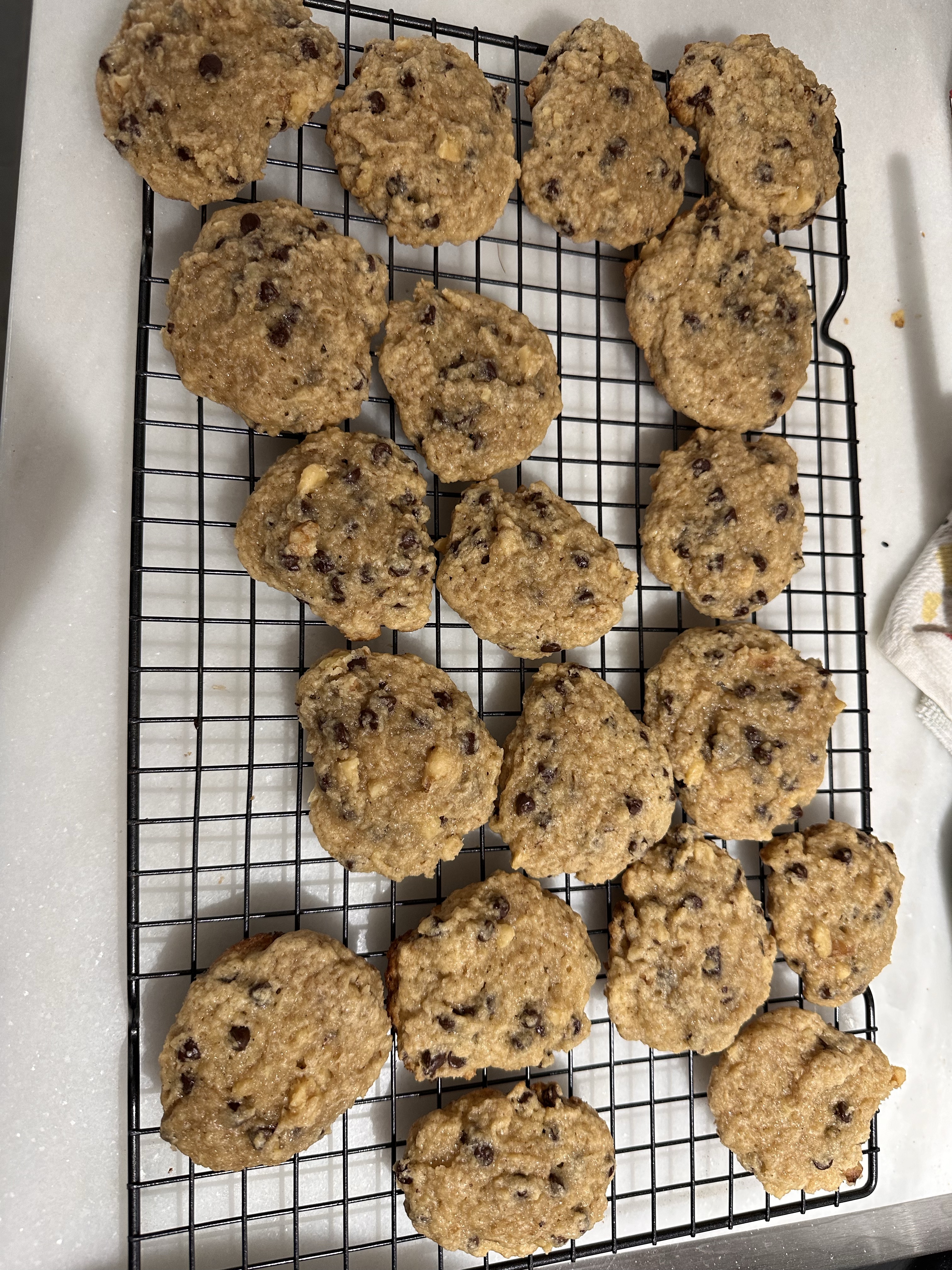 Sourdough Chocolate Chip 