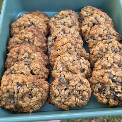 12 Oatmeal Raisin Cookies 