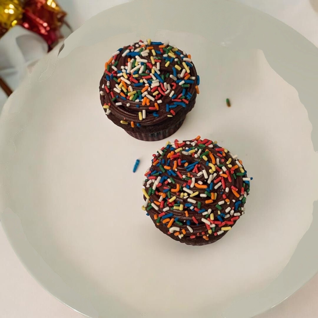 Chocolate Fudge Cupcakes With Sprinkles 