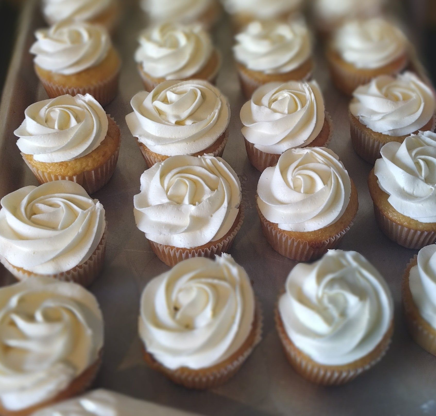 Large Cupcakes (6)