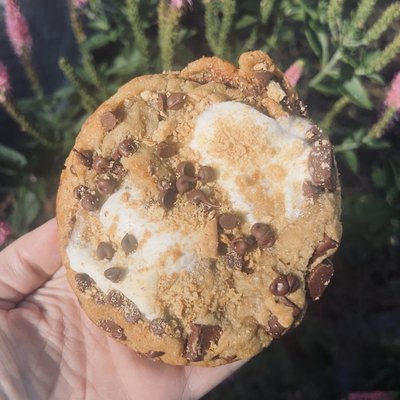 Cookie Single Pack