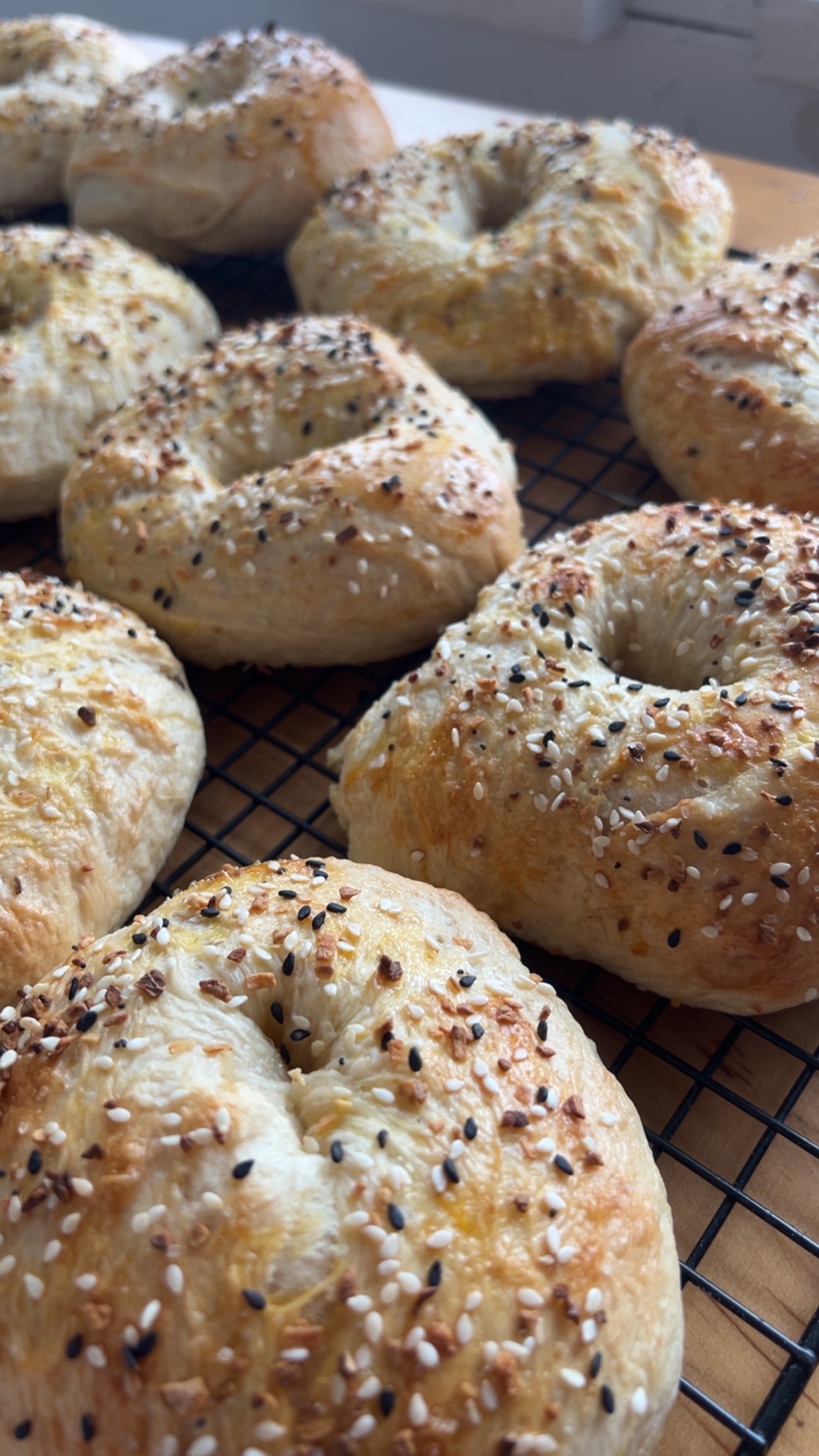 Everything Bagels