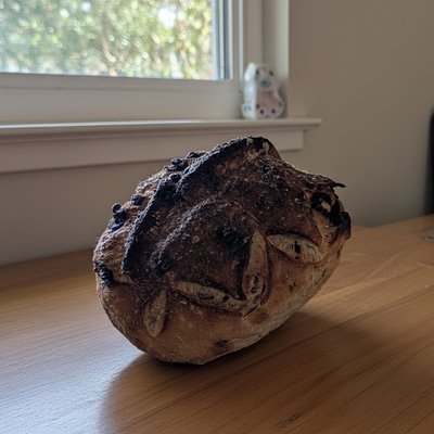 Chocolate Chip Sourdough 
