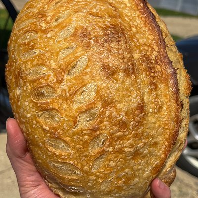 Plain Boule (1/2 Size $8)