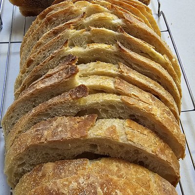 Sourdough-Regular