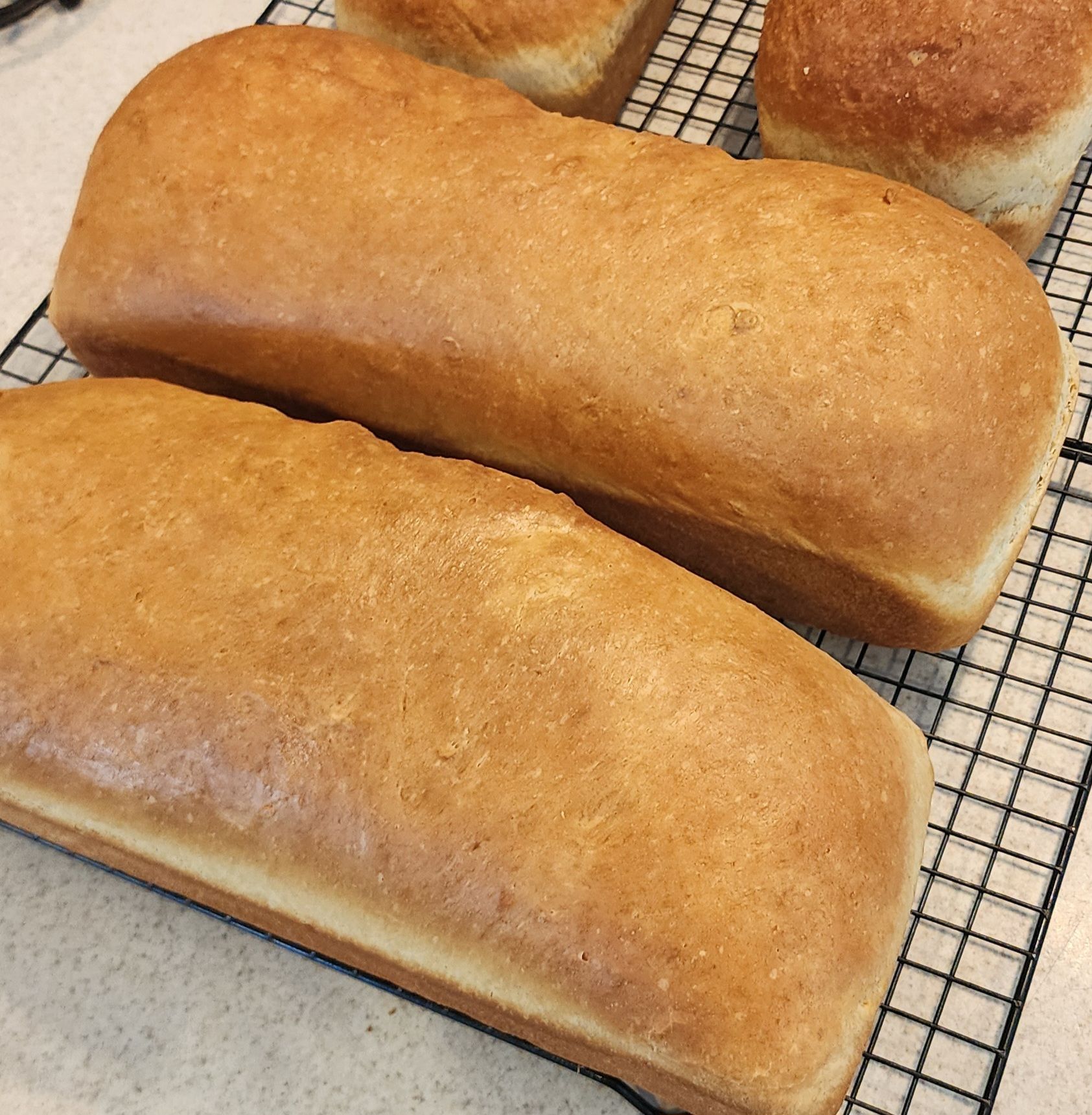 X-Large Sourdough Sandwich Bread 
