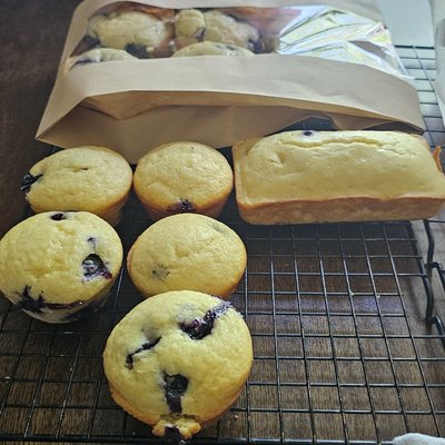 Blueberry Muffins