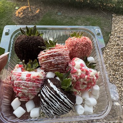 Chocolate Covered Strawberries 