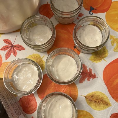 Active Sourdough 