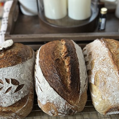 Honey Wheat Sourdough 