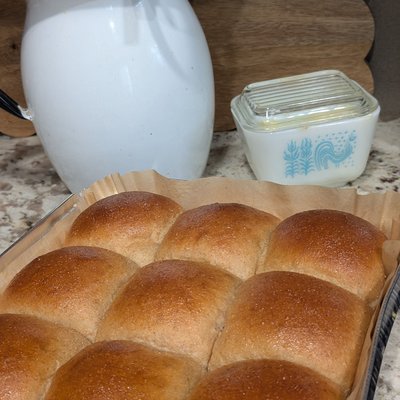 Dinner Rolls