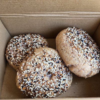 Gluten Free Sourdough Everything Bagel Box (3 Count)