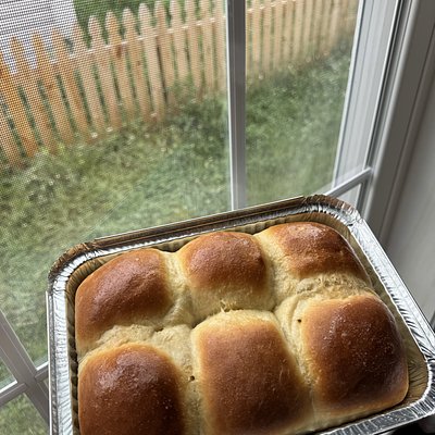 Dinner Rolls