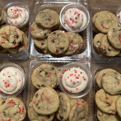 Chocolate Chip (large)