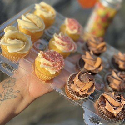 Mini Cupcakes 