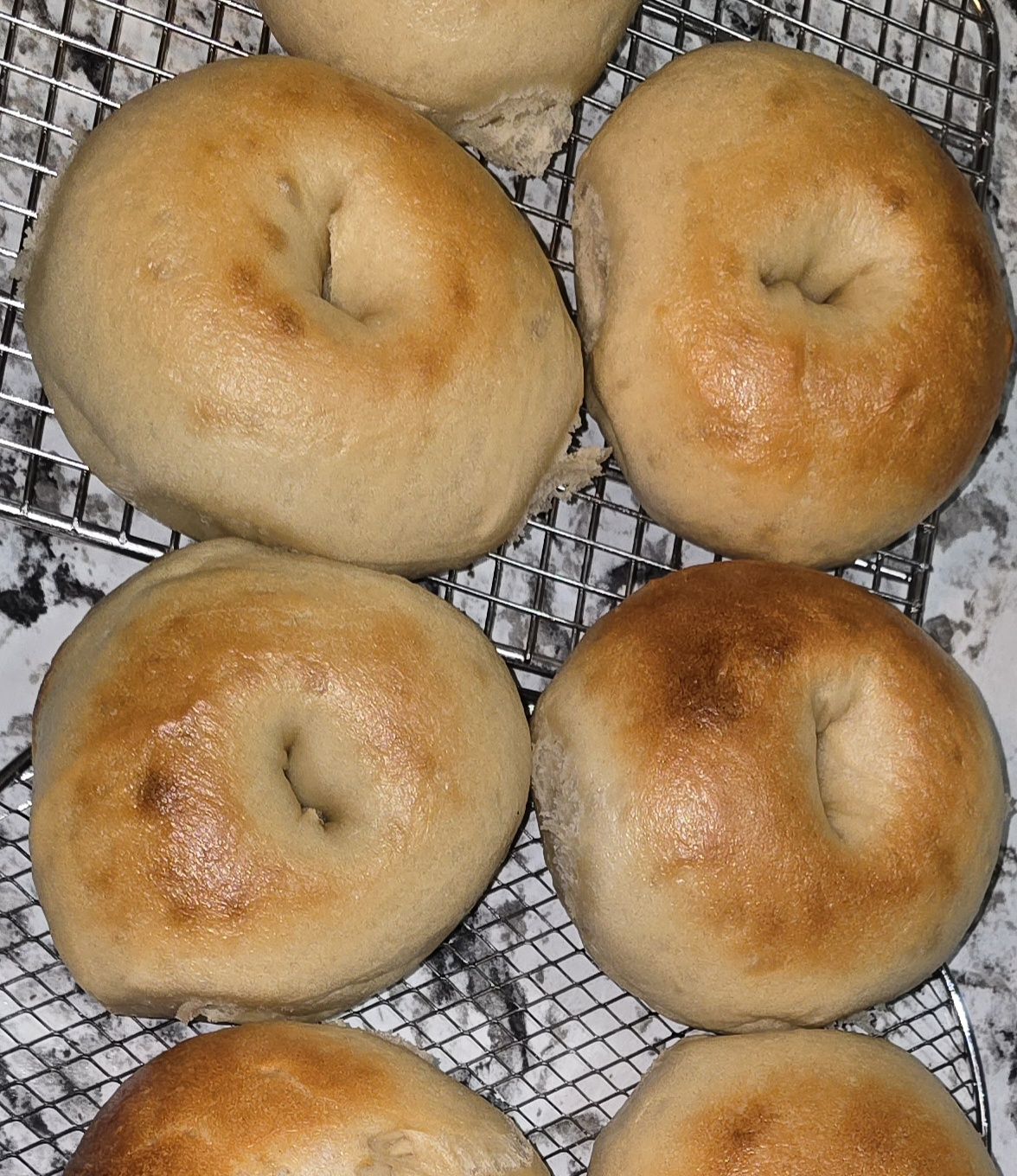 Sourdough Bagels - Plain