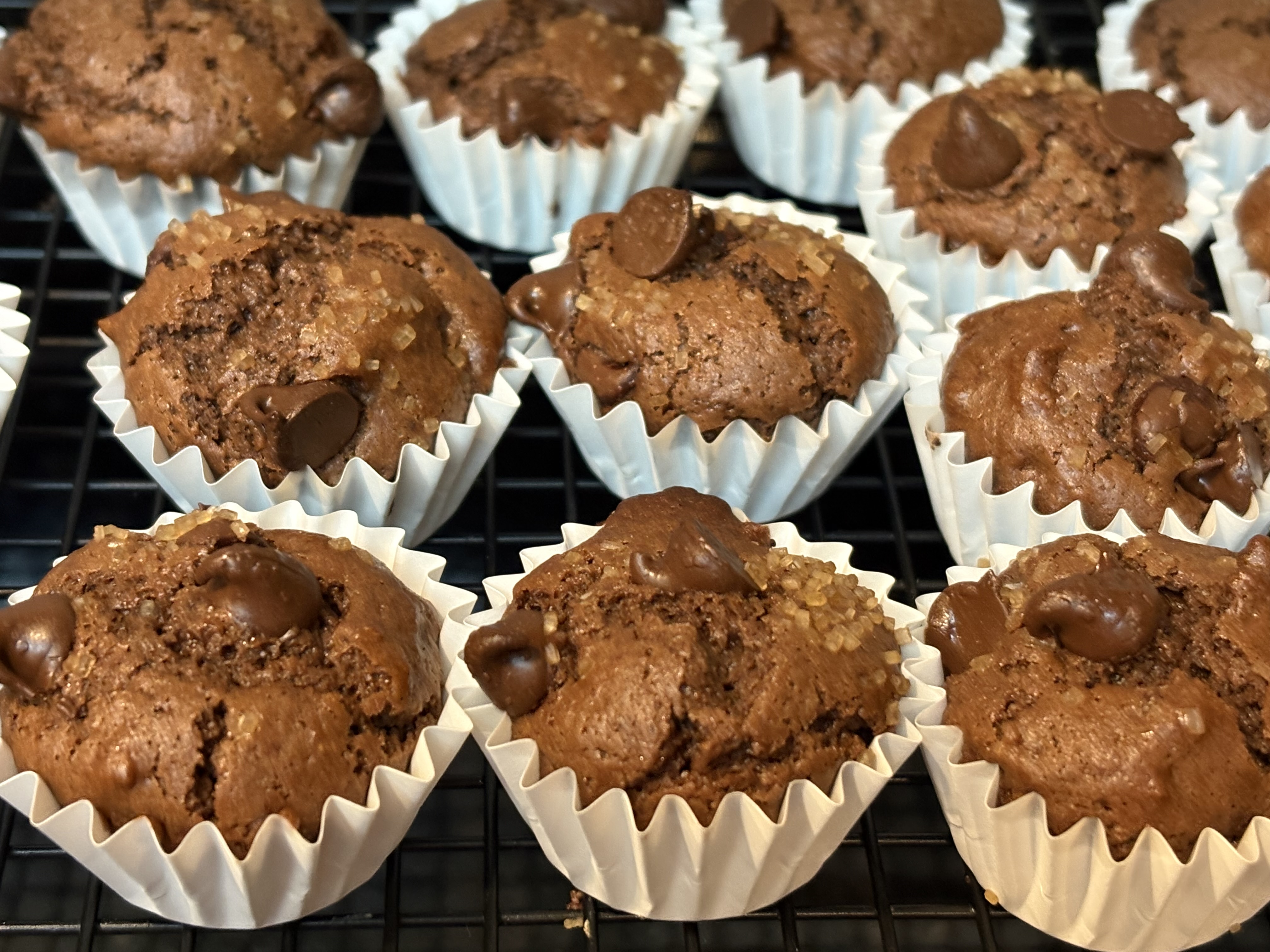 Mini Muffins 