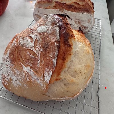 OG Sourdough Loaf