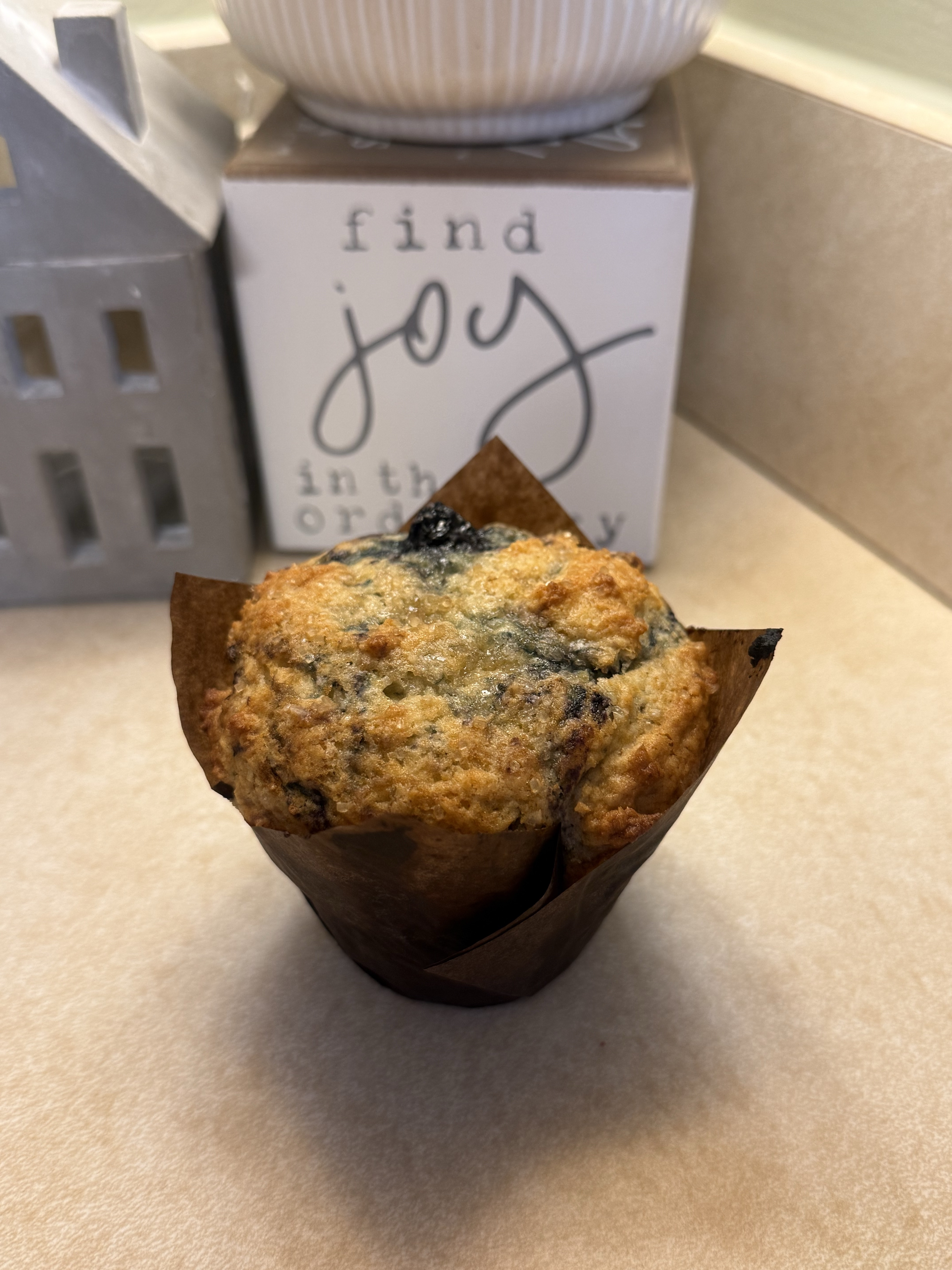 2 Pack Blueberry Muffins 