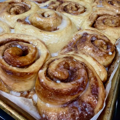 Cinnamon Bun- 4 Pack Plain