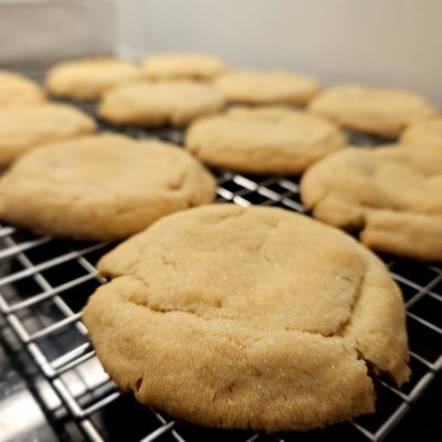 Sugar Cookies (No Icing)