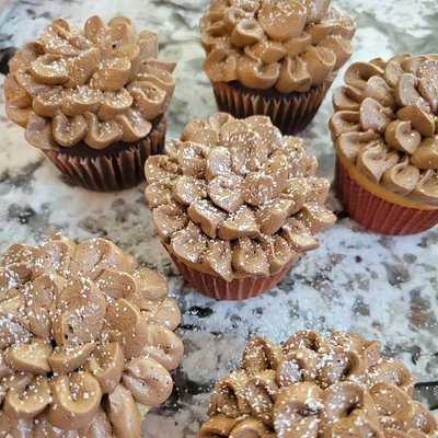 Pinecone Dozen 