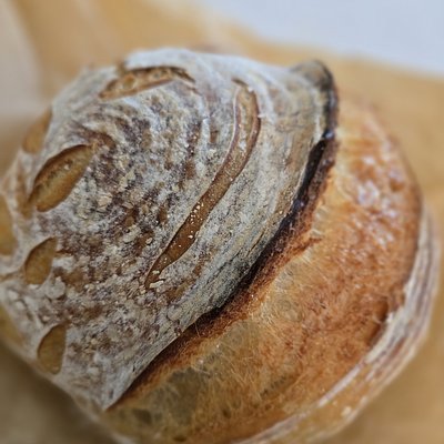 Organic Classic Sourdough Bread  (Long Fermented At Least 18 HOURS) Freshly Baked Daily