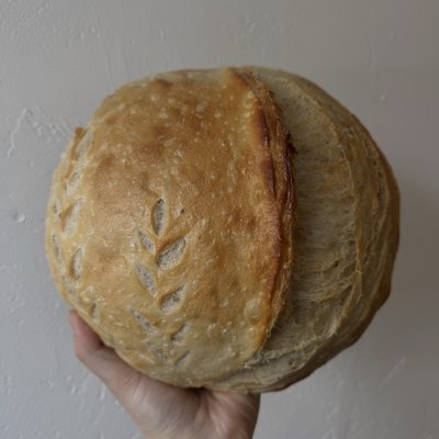 Our Daily Bread