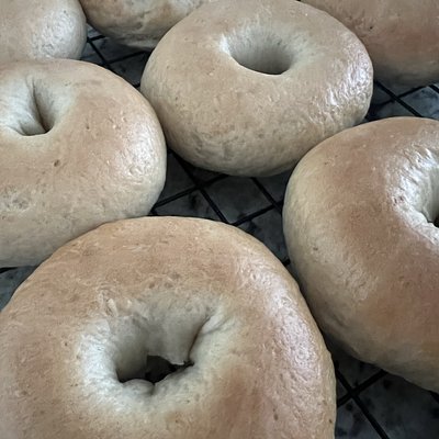 6 Sourdough Bagels Plain Organic