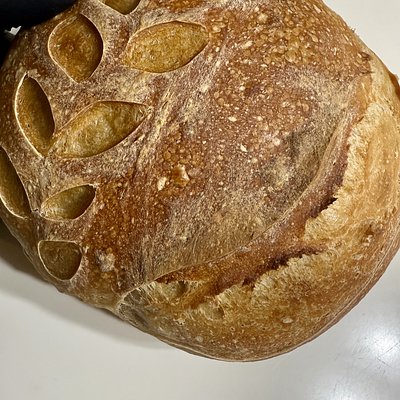 Sourdough Whole Wheat Rye Loaf