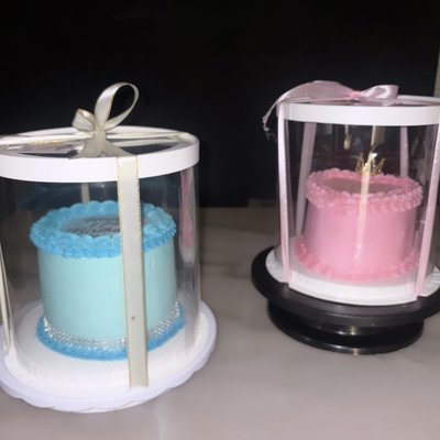 Clear Cake Box With Ribbon 