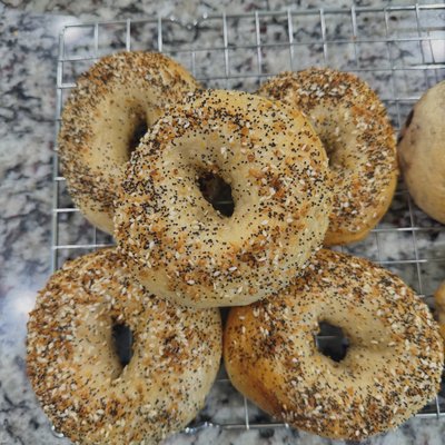 Everything Seasoning Sourdough Bagels 
