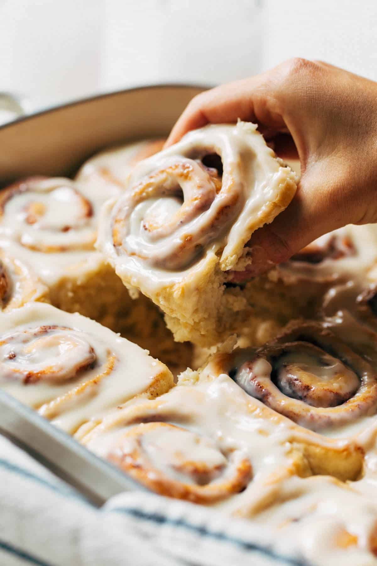 3 Pack Classic Cinnamon Roll