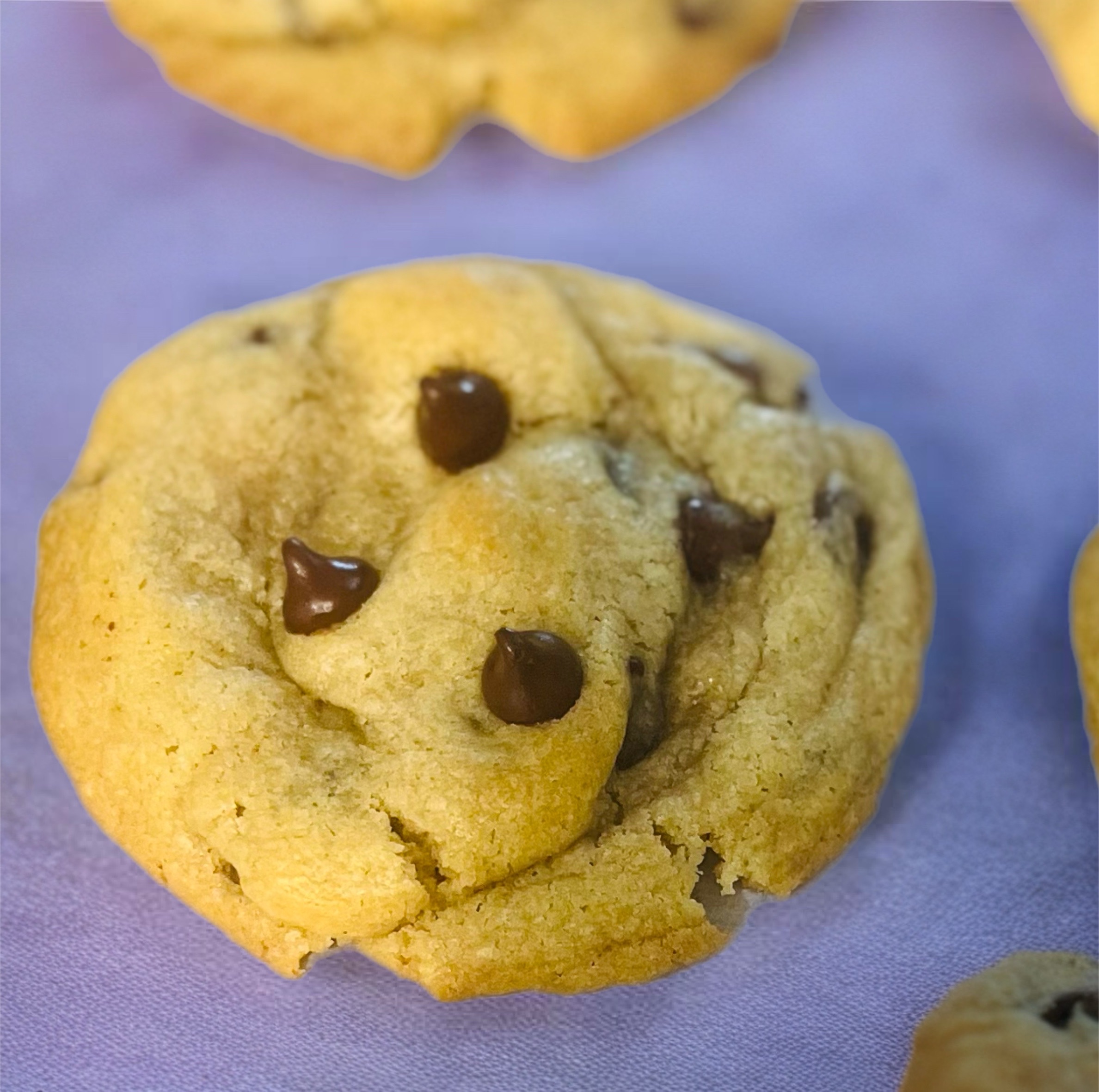 1 Dozen Chocolate Chip Cookies