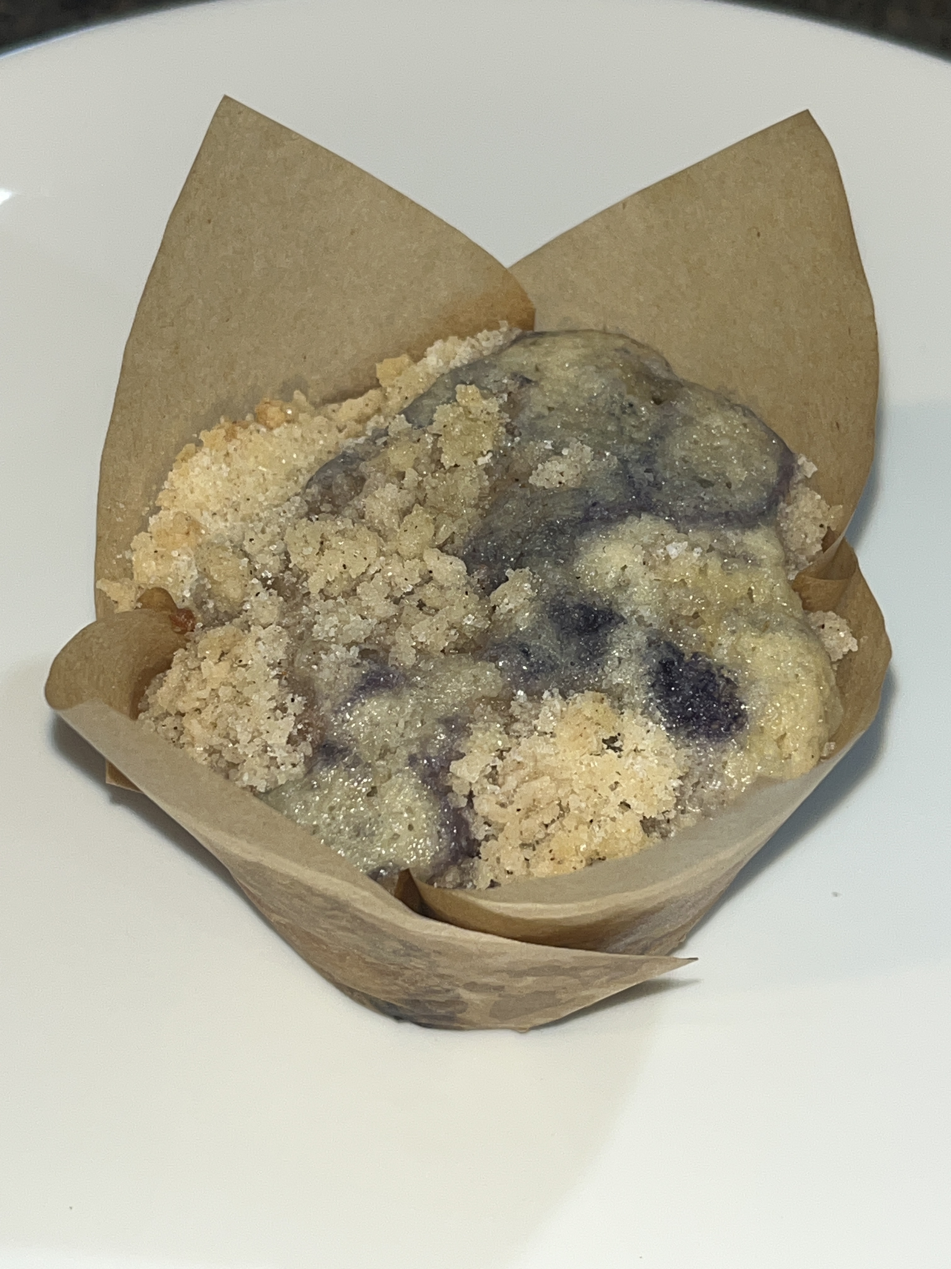 Blueberry Streusel Muffins (6)