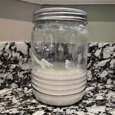Sourdough Starter 