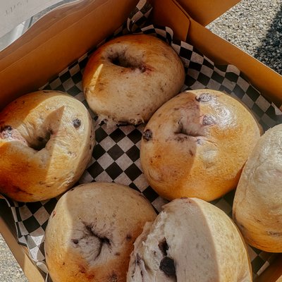 Saskatoon Berry (6 PACK) 