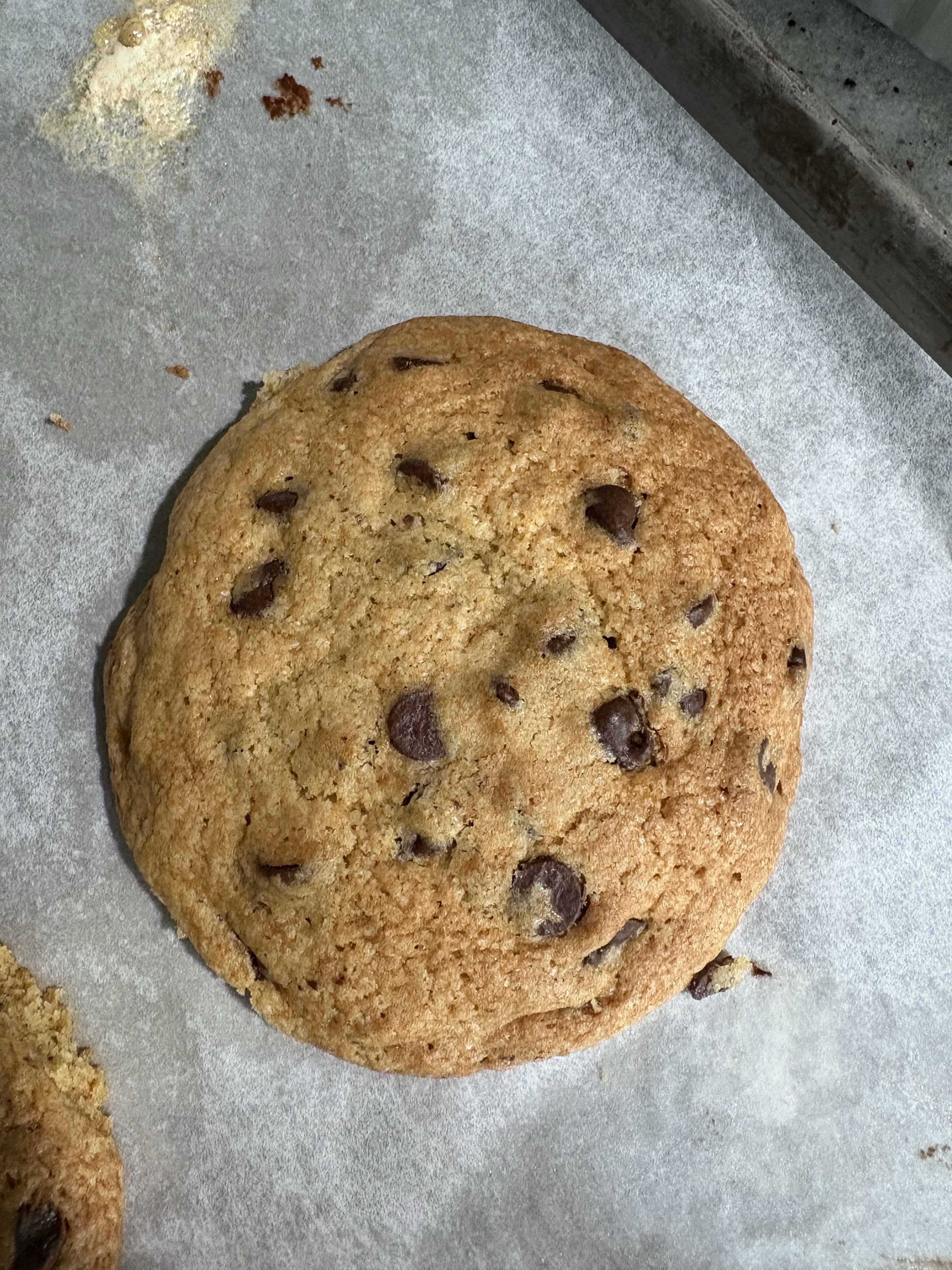 Chocolate Chip