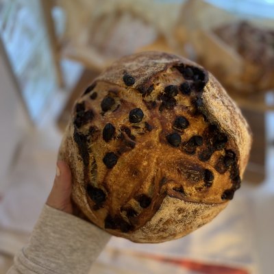 Chocolate Chip Sourdough Loaf