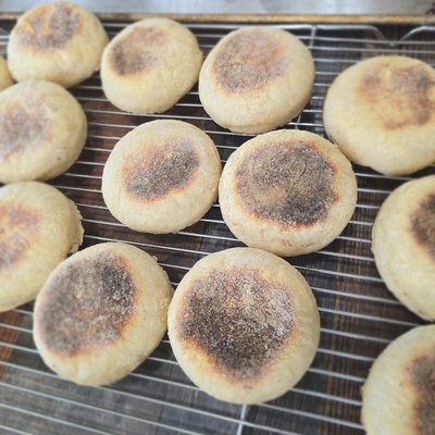 Sourdough English Muffins 