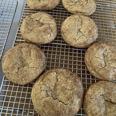 Qty- 6 Browned butter sourdough Snickerdoodle 