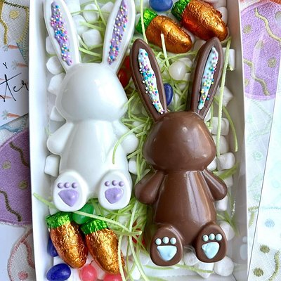 7” Chocolate Bunny Box