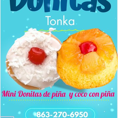 Mini Donitas Dozen (Piña Y Coco)