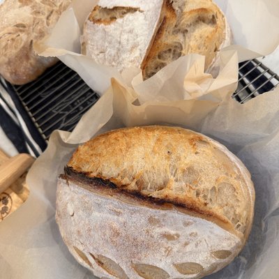 Artisan Sourdough Loaf 