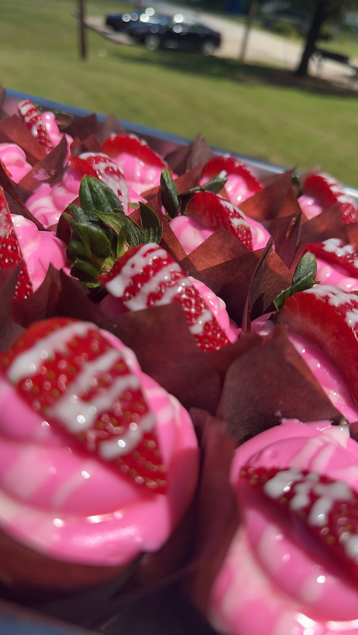 Strawberry Cupcake 