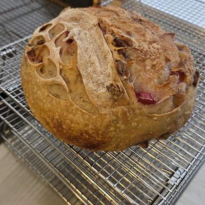 Sourdough Rhubarb With Orange Zest And Pecans
